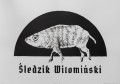 sledzik w.jpg