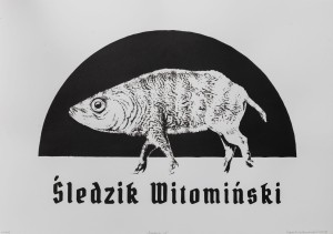 Śledzik Witomiński grafika