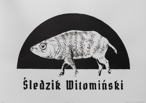 sledzik w.jpg