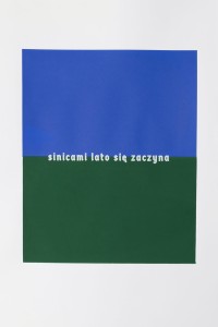 sinicami lato się zaczyna